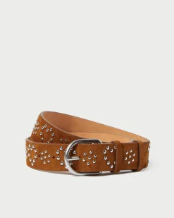 Best Beckett Cacao Suede Studded Belt Casual Staples|Jessie Loves